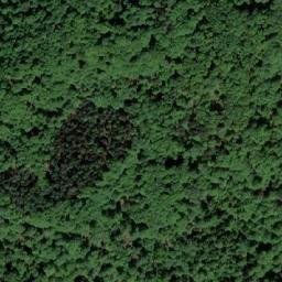 Satellite imagery of Lipova Kosa, BA