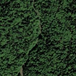 Satellite imagery of Vučjak, BA