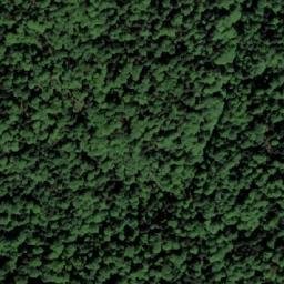 Satellite imagery of Vučjak, BA