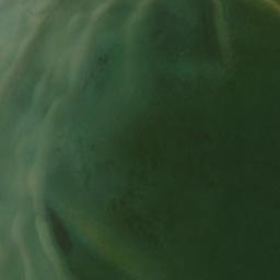 Satellite imagery of Bare Point, US