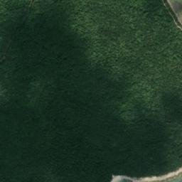 Satellite imagery of Rt Gustinja, HR