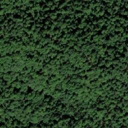 Satellite imagery of Barina Kosa, BA