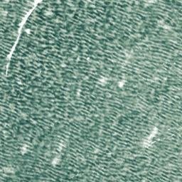 Satellite imagery of Brady Point, US