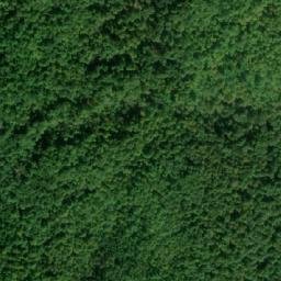 Satellite imagery of Big Point, CA