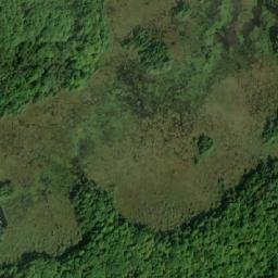 Satellite imagery of Elm Hill, CA