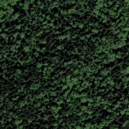 Satellite imagery of Pišala, HR