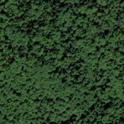 Satellite imagery of Stevanova Kosa, BA