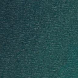 Satellite imagery of Carp River Point, US