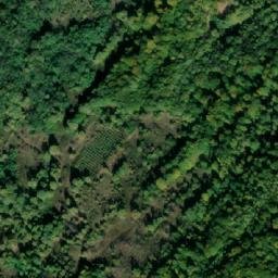Satellite imagery of Culmea Pâniceşti, RO
