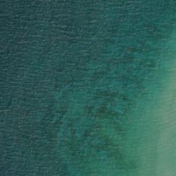 Satellite imagery of Carp River Point, US