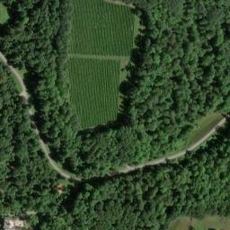 Satellite imagery of Carp River Point, US