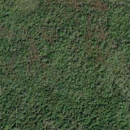 Satellite imagery of Scotch Thistle Point, CA