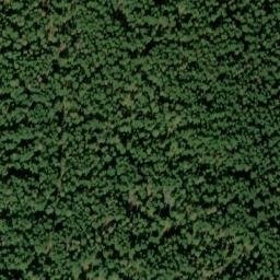 Satellite imagery of Long Ridge, US