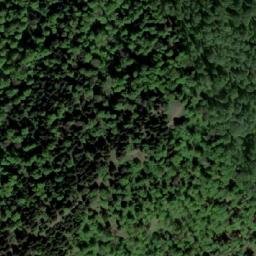 Satellite imagery of Travna Kosa, BA