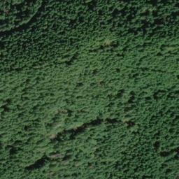 Satellite imagery of Mill Creek Ridge, US