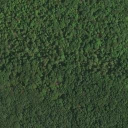 Satellite imagery of Old Mission Point, US