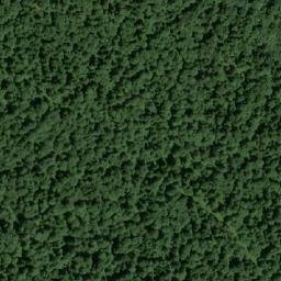 Satellite imagery of Malo Bilo, HR