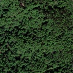 Satellite imagery of Travna Kosa, BA