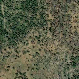 Satellite imagery of Yellowjacket Mine, US