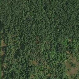 Satellite imagery of Old Mission Point, US