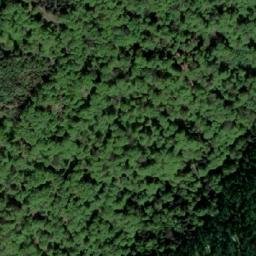 Satellite imagery of Travna Kosa, BA