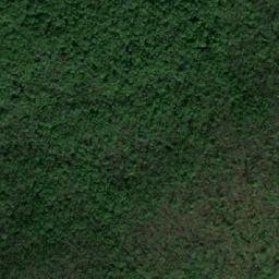 Satellite imagery of Dealu Lişvarului, RO