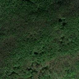 Satellite imagery of Dealu Lişvarului, RO