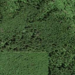 Satellite imagery of Bald Mountain, US