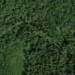 Satellite imagery of Lowe Creek Pit, US