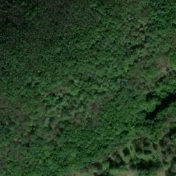 Satellite imagery of Dealu Lişvarului, RO