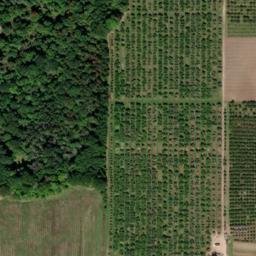 Satellite imagery of Merril Point, US