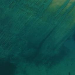 Satellite imagery of Shute Point, CA