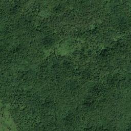 Satellite imagery of Pjevčevo Brdo, BA