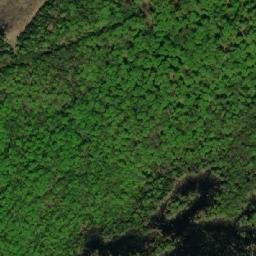 Satellite imagery of Ransom Point, CA