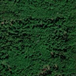 Satellite imagery of Dealul Şăsii, RO