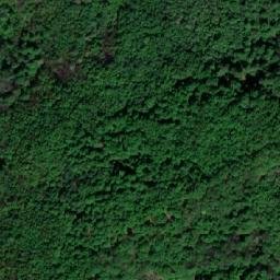 Satellite imagery of Dealul Şăsii, RO