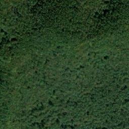 Satellite imagery of La Paltinu, RO