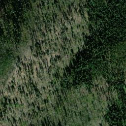 Satellite imagery of Yellow Pine Mine, US