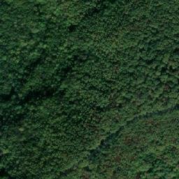Satellite imagery of Dealul Trăujanului, RO