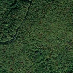 Satellite imagery of Dealul Trăujanului, RO