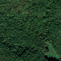 Satellite imagery of Dealul Trăujanului, RO