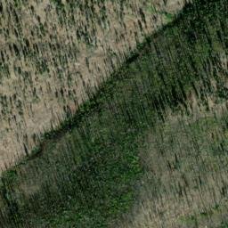 Satellite imagery of Yellow Pine Mine, US