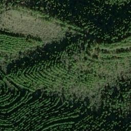 Satellite imagery of L362921900 Лозовое, UA