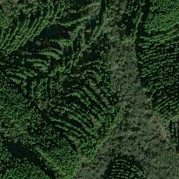 Satellite imagery of L362921900 Лозовое, UA