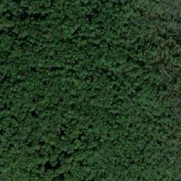 Satellite imagery of Cracul Păducelului, RO