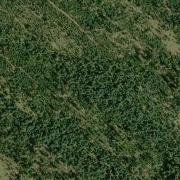 Satellite imagery of Rhododendron Ridge, US