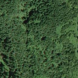 Satellite imagery of Pea Ridge, US