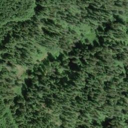 Satellite imagery of Pea Ridge, US