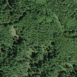 Satellite imagery of Pea Ridge, US