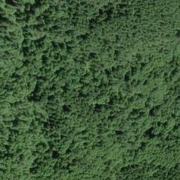 Satellite imagery of Pea Ridge, US
